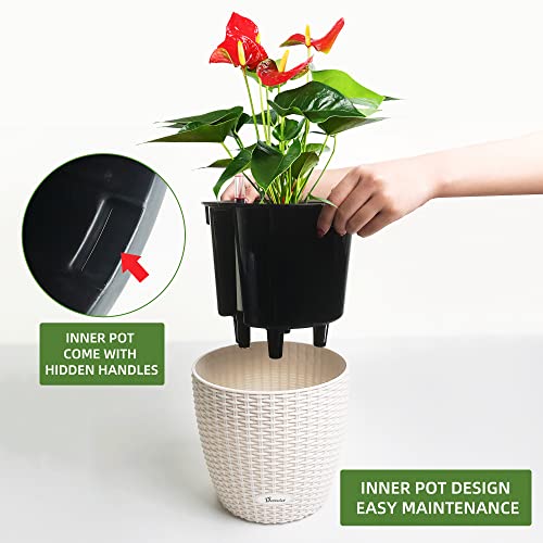 9x8 Self Watering Planter