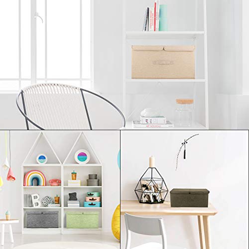 2 Pack Large Storage Boxes with Lids and Handles (2 Count)