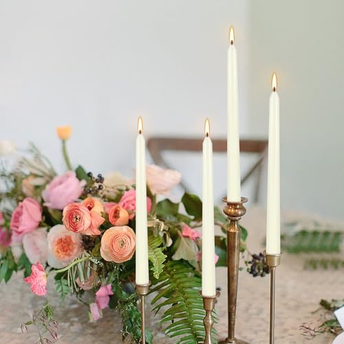 8 Pack Ivory Taper Candles 10 Inch Tall 3 (8 Count)