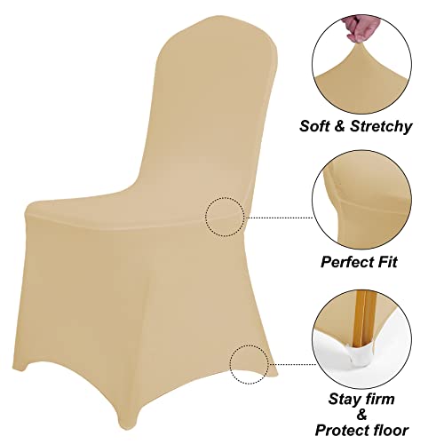 Waterproof Spandex Chair Cover 12PCS