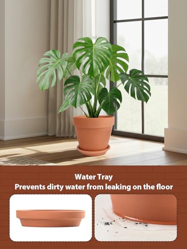 Terracotta Pot with Saucer