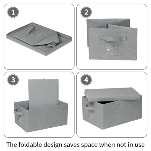 Storage Bins With Lids Closet Organizer Cabinet Box For Clothes (2 Count)