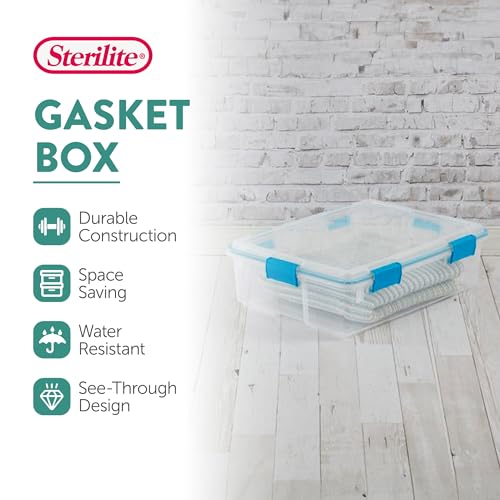 Gasket Storage Box with Lids for Home & Office (4 Count)