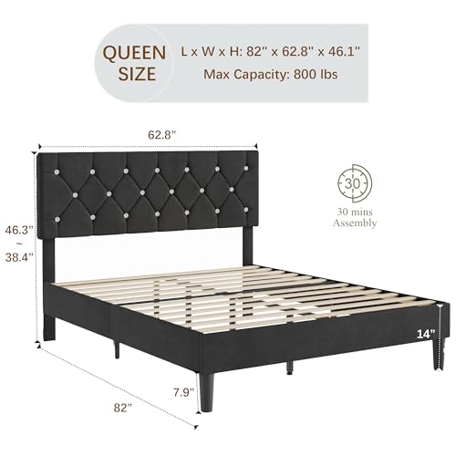Queen Size Bed Frame