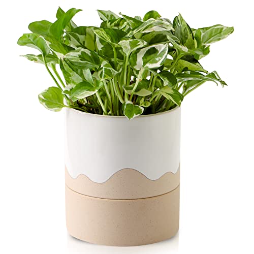Ceramic Self Watering Plant Pot for Indoor Plants