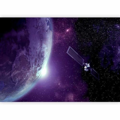 Wall Mural Wallpaper (5 Count)