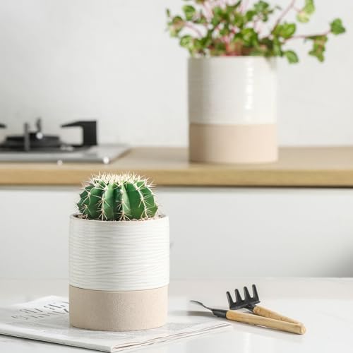 Ceramic Self Watering Plant Pot for Indoor Plants