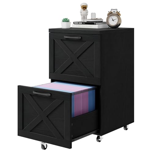 Farmhouse File Cabinet with 2 Drawers