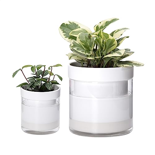 6 Inch 4 Inch Self Watering Planter