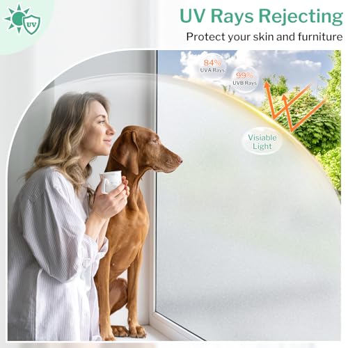 Frosted Glass Window Privacy Film