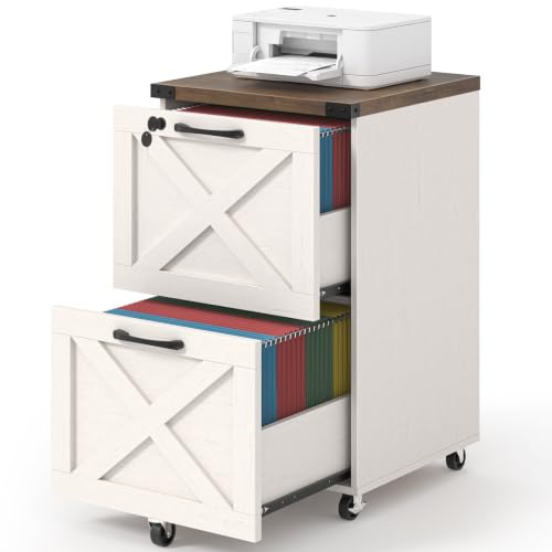 Farmhouse File Cabinet with Lock & 2 Drawers