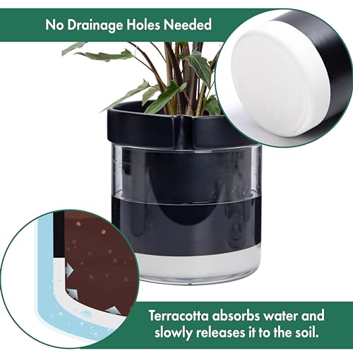 8 Inch Self Watering Terracotta Planter