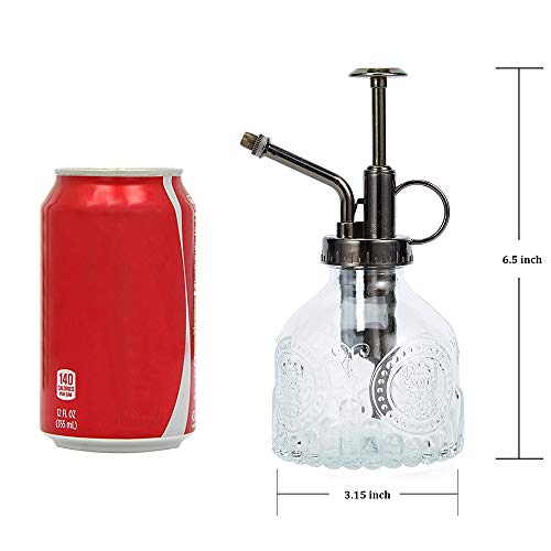 Glass Plant Mister Spray Bottle