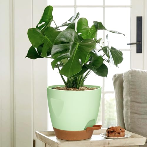5 Pack Plant Pots with Drainage 7 (5 Count)