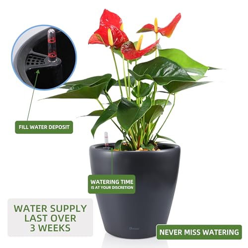 18x17 Self Watering Planter with Wheels