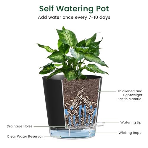 6 inch Self Watering Pots for Indoor Outdoor Plants (6 Count)