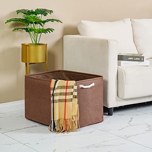 Organization and Storage for Organizing (3 Count)