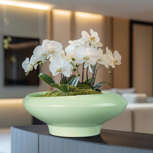 Ceramic Bonsai Pots