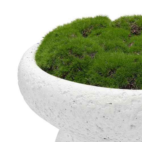 6'' Handmade Cement Bowl