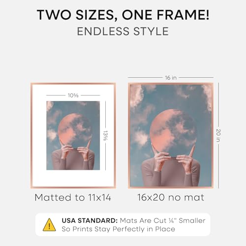 16x20 Rose Picture Frame (2 Count)