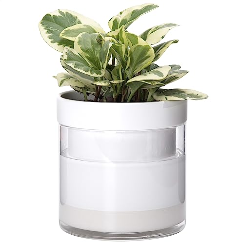 6 Inch Self Watering Planter
