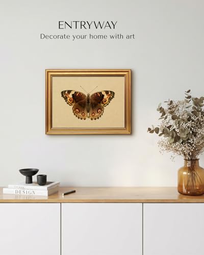 Gold Framed Vintage Butterfly Wall Art