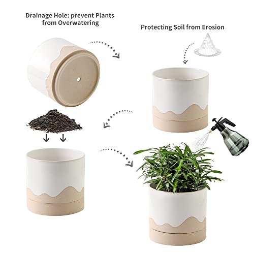 Ceramic Plant Pot