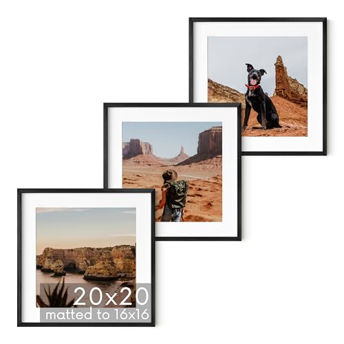 20x20 Black Metal Picture Frames Matted to 16x16 (3 Count)