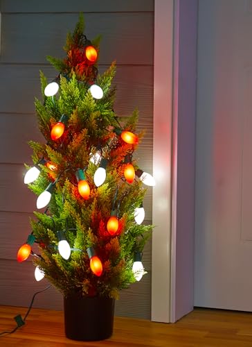 50Ft Christmas Lights Outdoor (50 Count)
