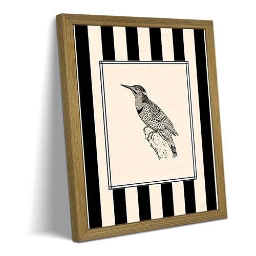 Framed Bird Canvas Wall Art Picture