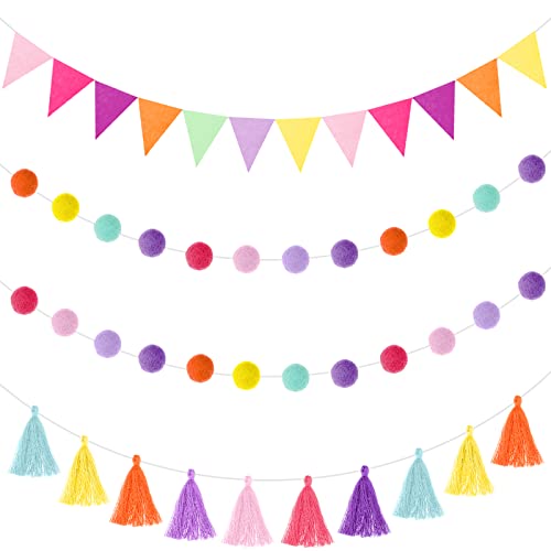 9.8FT Rainbow Pom Pom Tassel Garland for Classroom Felt Candy Color (43 Count)