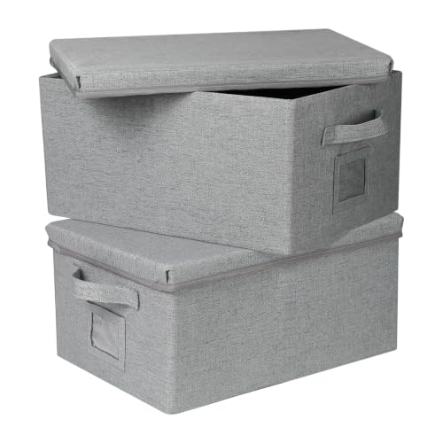 Storage Bins With Lids Closet Organizer Cabinet Box For Clothes (2 Count)