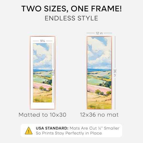 12x36 Rose Picture Frame