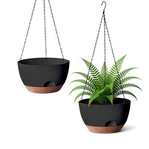 Hanging Planter for Indoor Plants (2 Count)