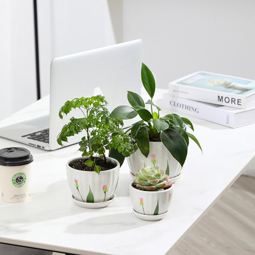 Ceramic Plant Pots with Saucers (3 Count)