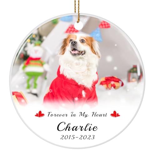 Personalized Dog Photo Christmas Ornament 2025