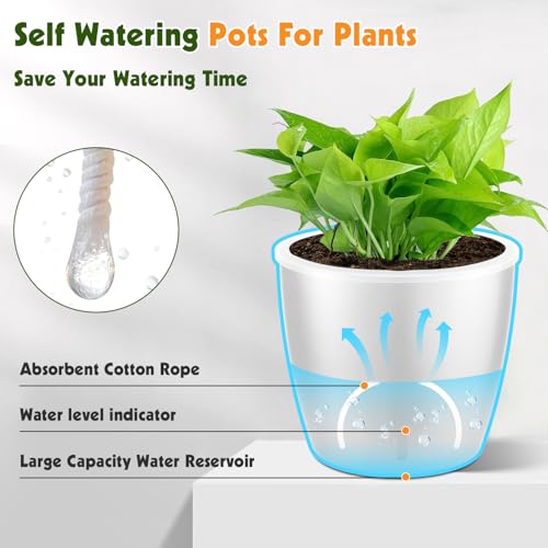 Self Watering Pots for Indoor Plants (8 Count)