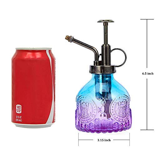Glass Plant Mister Spray Bottle