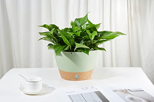 2 Pack Hanging Planters