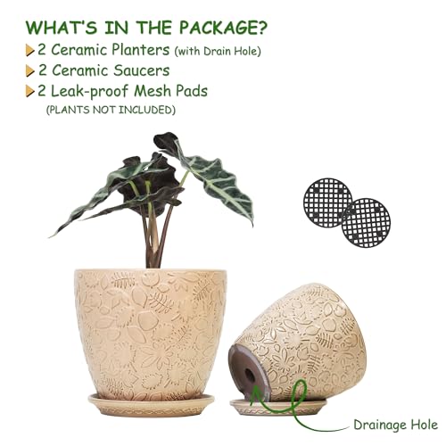 8 Inch + 6 Inch Retro Ceramic Planter Set of 2 with Drainage Hole and Saucer for Multiple Plants (2 Count)