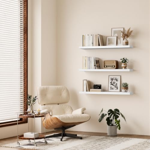 Floating Shelves