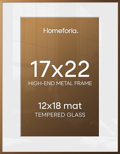 17x22 Bronze Picture Frame