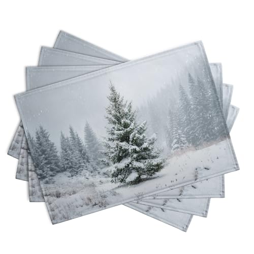 Winter Placemats Set of 4