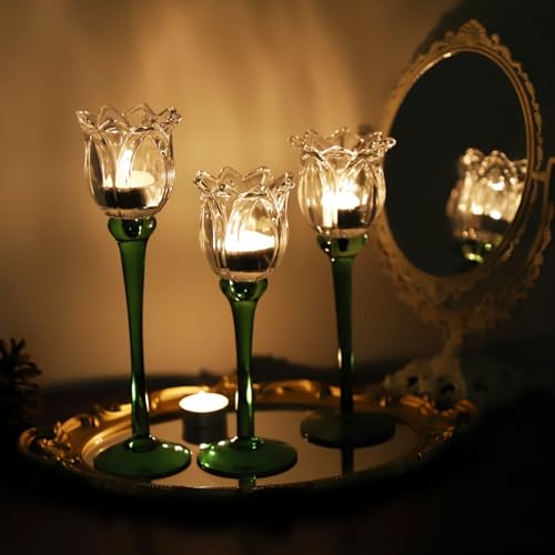 Tulips Clear Candle Holder Holder Set of 3 (3 Count)