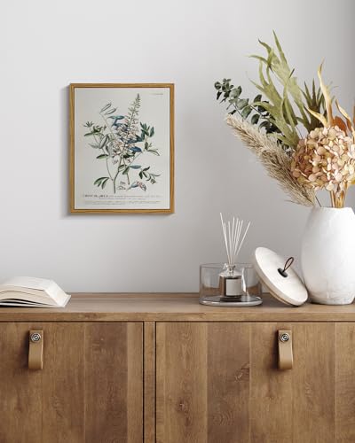 Framed Botanical Wall Art Herb Canvas Prints