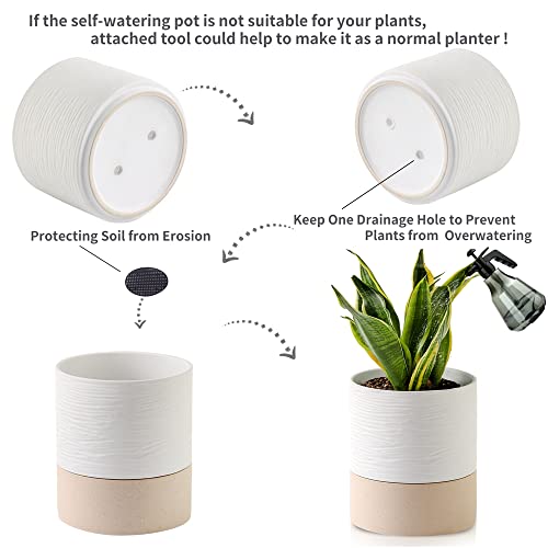 Ceramic Self Watering Plant Pot for Indoor Plants