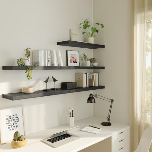 Floating Shelf (2 Count)