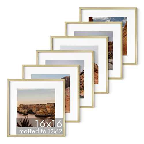 16x16 Gold Metal Picture Frames Matted to 12x12 (6 Count)