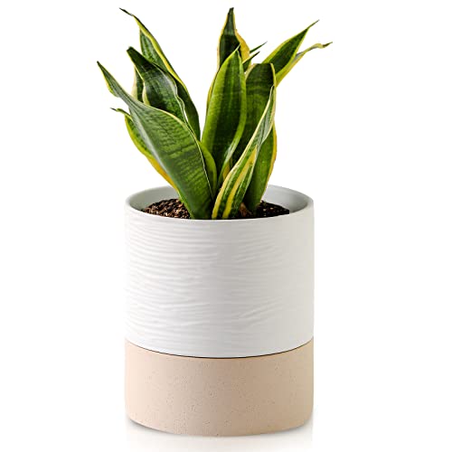 Ceramic Self Watering Plant Pot for Indoor Plants