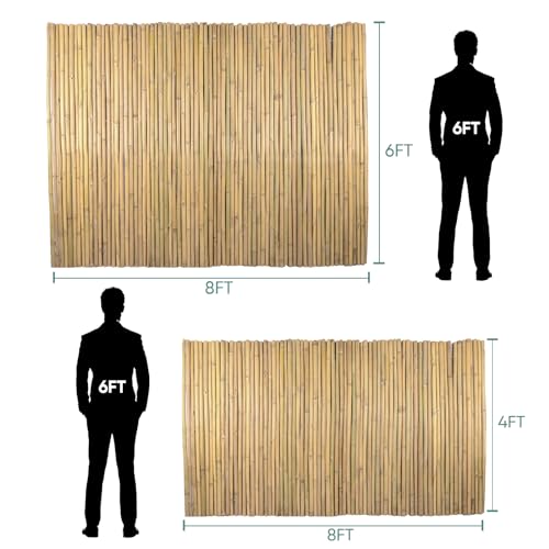 6Ft High x 8 Ft Long x 0.7In D Bamboos Screen (48 Sq Ft)